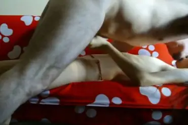 ABG Bispak Hotel Bintang Lima Skandal Viral Indo